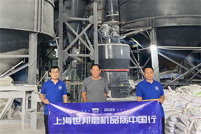 提锂用的锂辉石粉磨选择锂矿立磨机还是球磨机 百家号